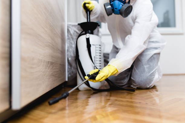 Best Emergency Pest Control  in Vine Hill, CA
