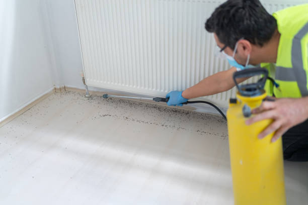 Best Bed Bug Extermination  in Vine Hill, CA